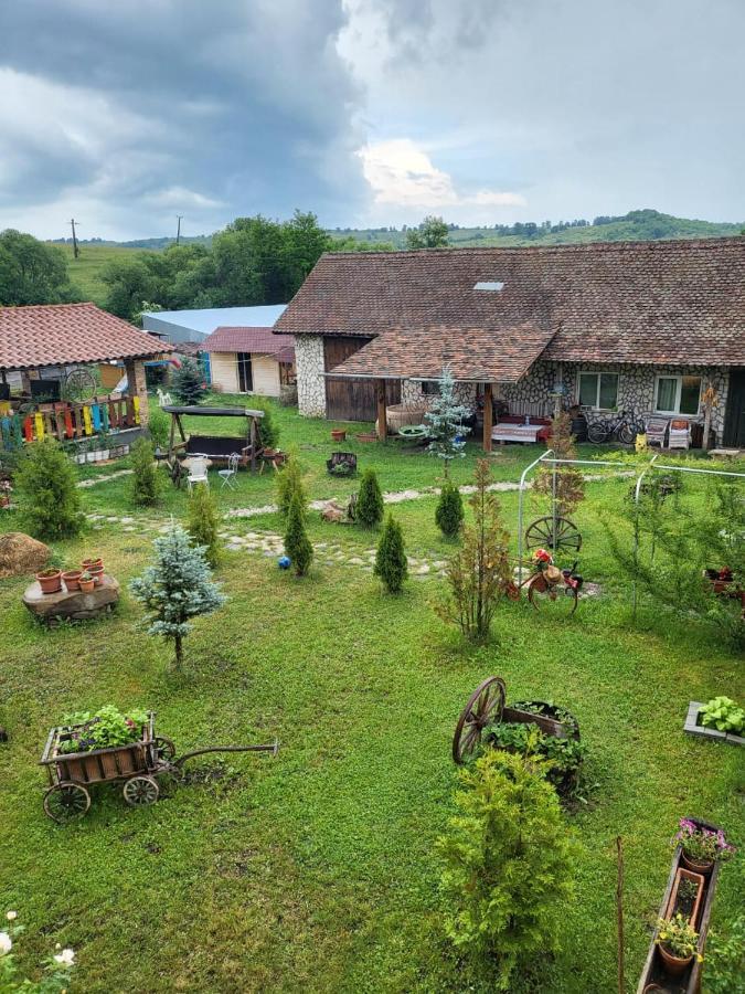 Casa Maria Apartment Cincu ภายนอก รูปภาพ