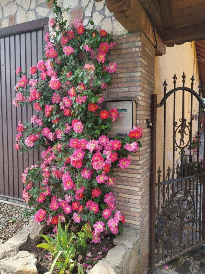 Casa Maria Apartment Cincu ภายนอก รูปภาพ