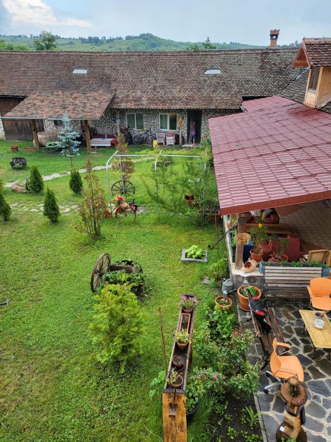 Casa Maria Apartment Cincu ภายนอก รูปภาพ