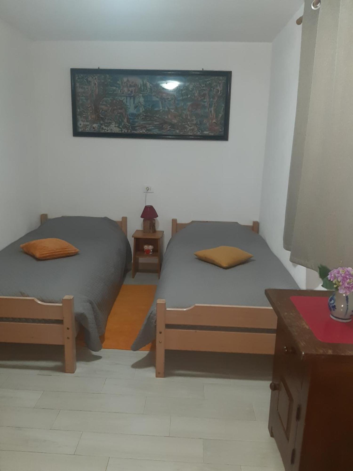 Casa Maria Apartment Cincu ห้อง รูปภาพ